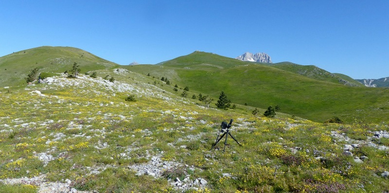 Orchidee a Campo Imperatore tra Medioevo e wilderness  primavera 2023